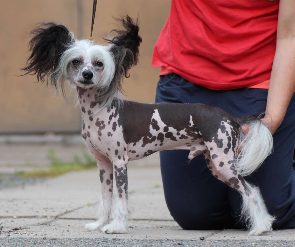 Maybell's Run Baby Run