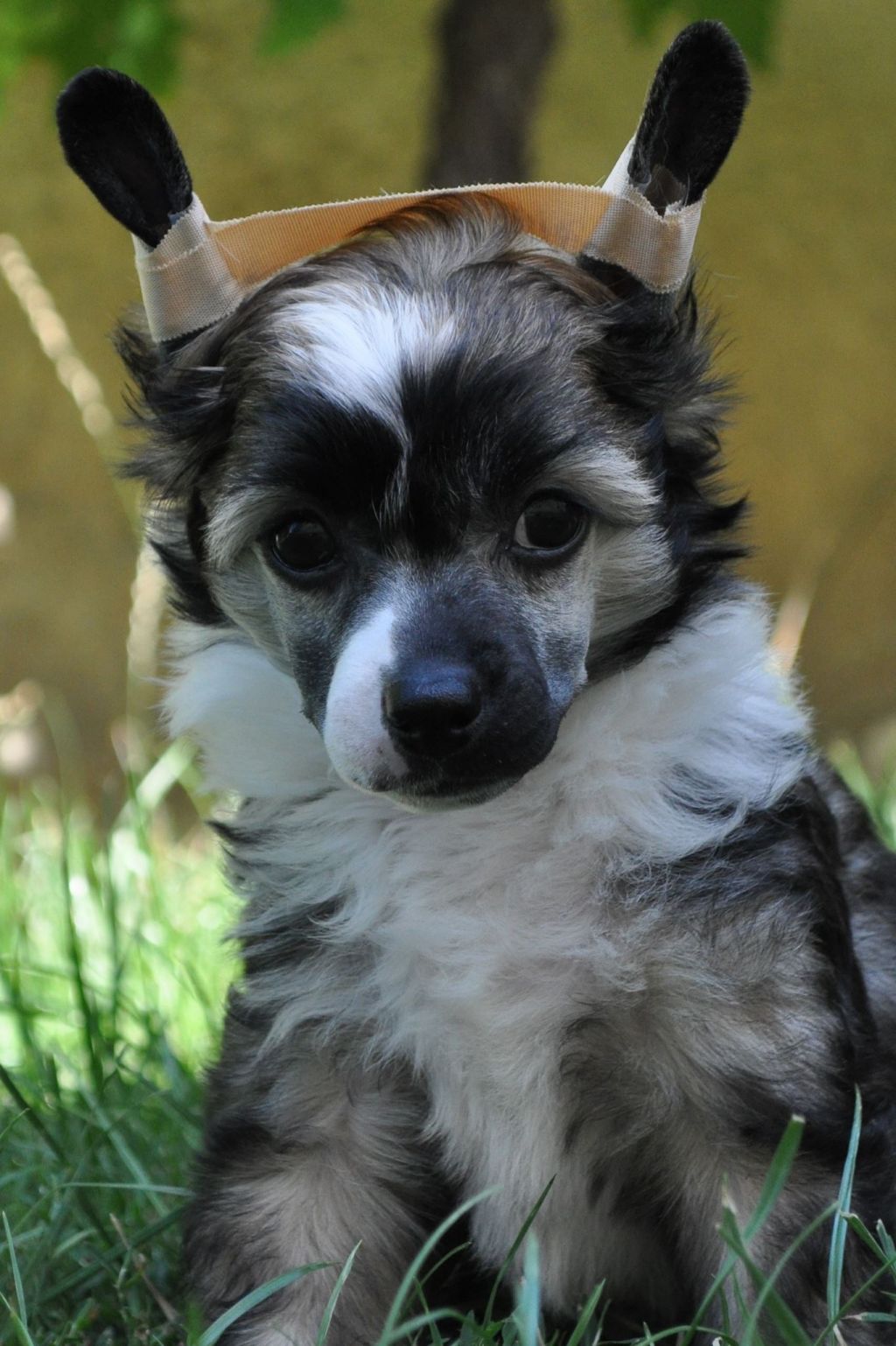 Bubbling Spirit Dior