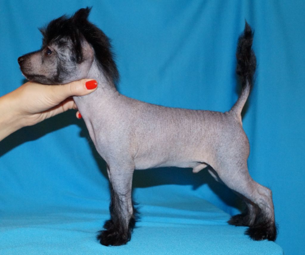 Rus Lorens Fitness Style