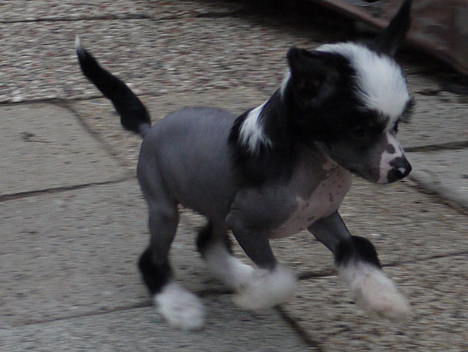 Kind of Magic Little Charmings.