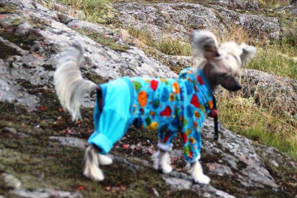 Practical Hero Mystic Girl