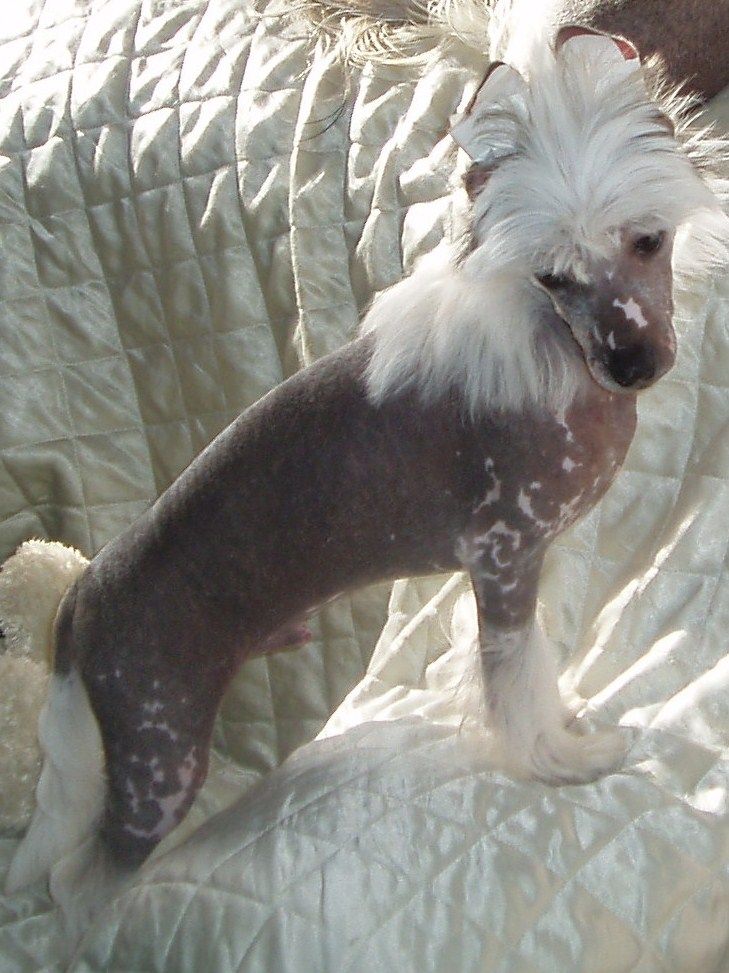 Franzell Off 'The' Rails