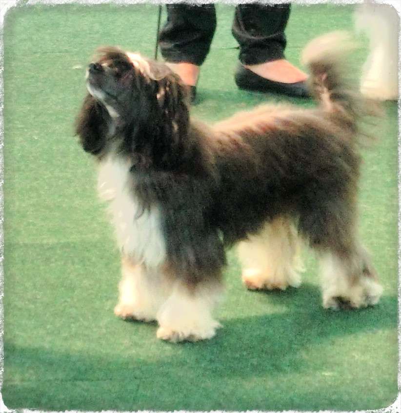 Armani vom Eifeldiamant