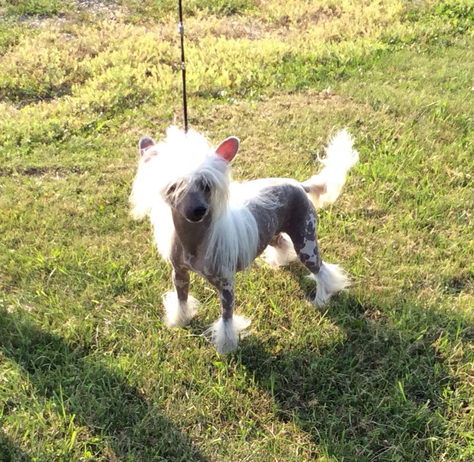 Famous Perfect Storm