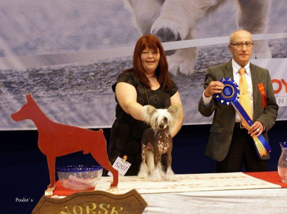 Casa Del Caboom's Remember Me