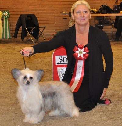 Ridgecrest's Drop Dead Gorgous