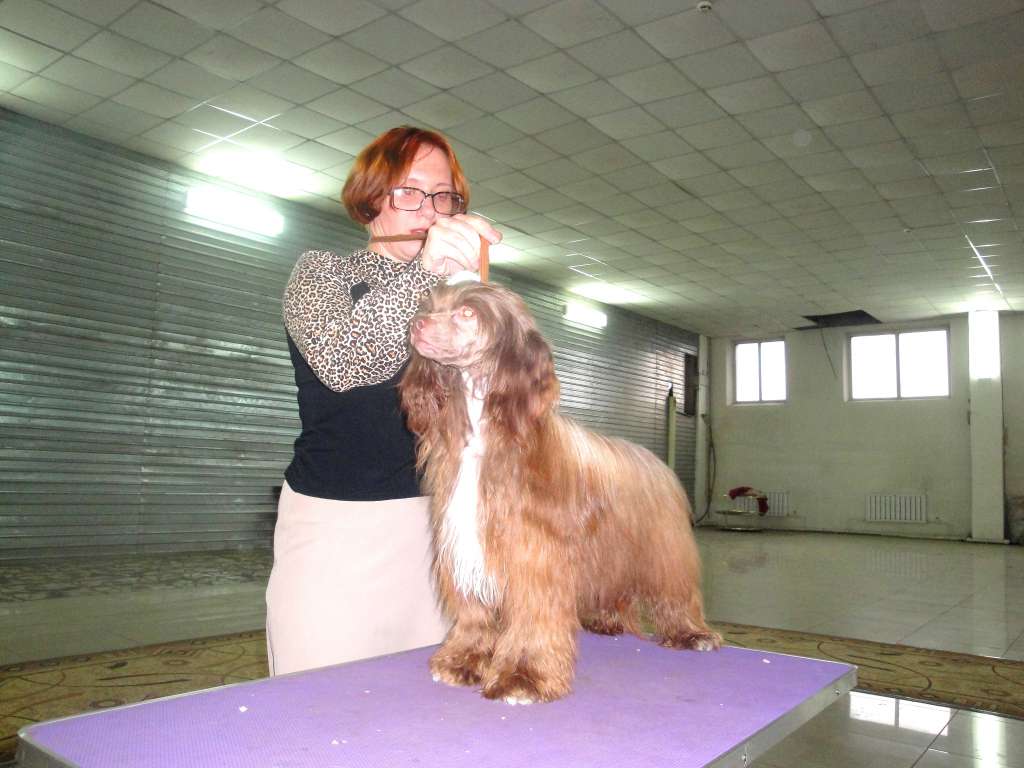 Orlando Brown Fantasy