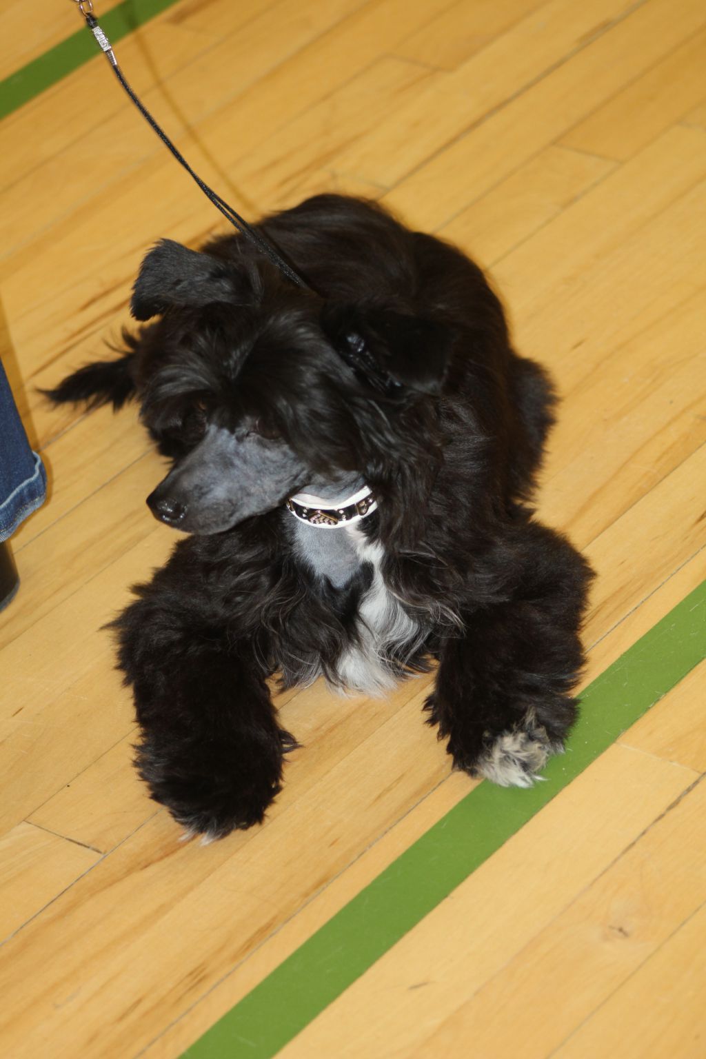 Hottie Tots Blaze of Glory