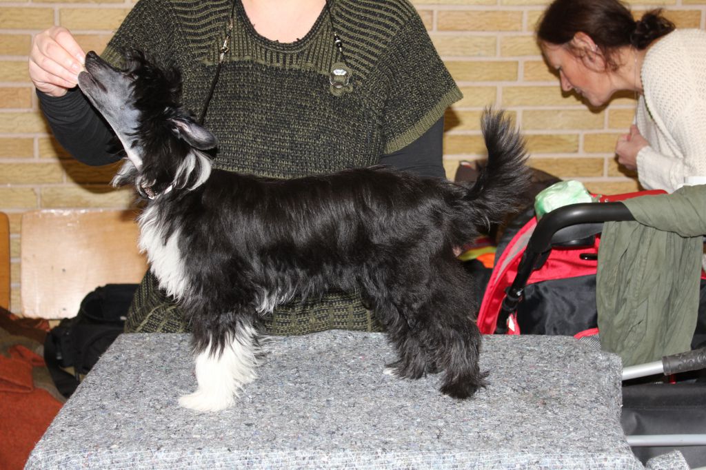 Hottie Tots Bright Star