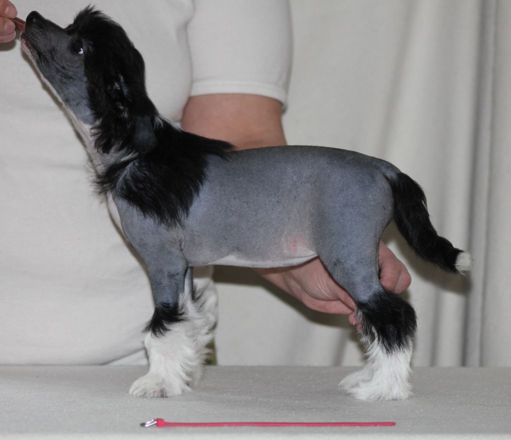 Hottie Tots Believe in Angels