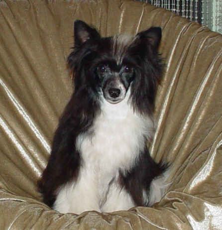 Redland's High Expectations