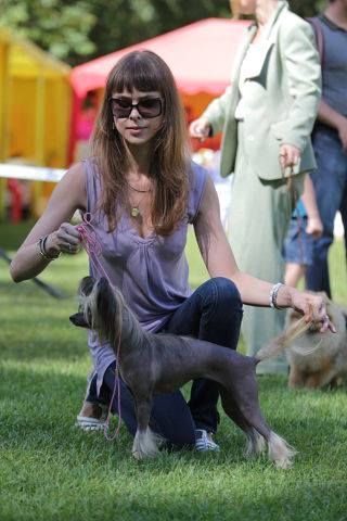 Danatel Shcherbinka Krokha