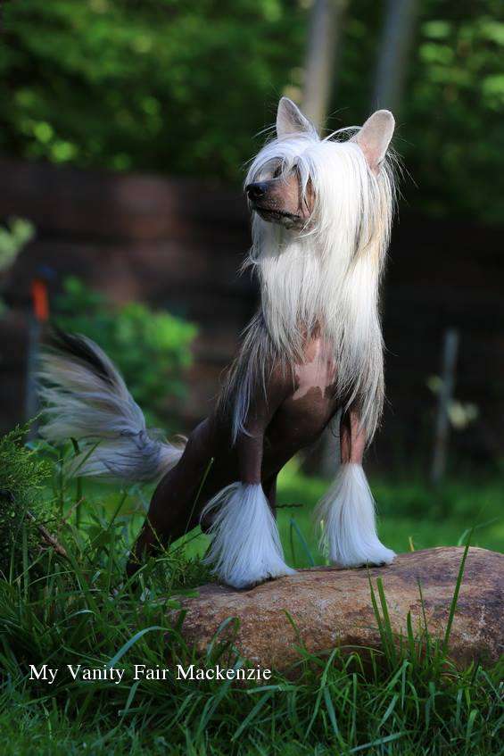 My Vanity Fair Mackenzie