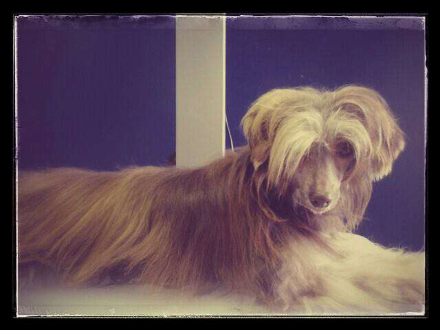 Hot Like Chocolate Modny Drobiazg