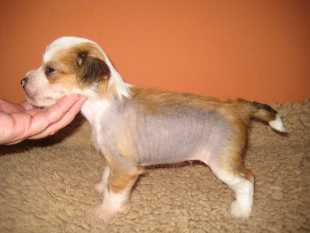 Neveralones YallaYalla