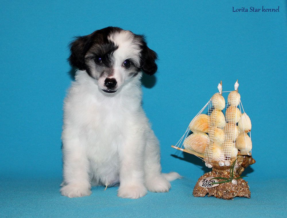 Lorita Star Glavnyy Geroy