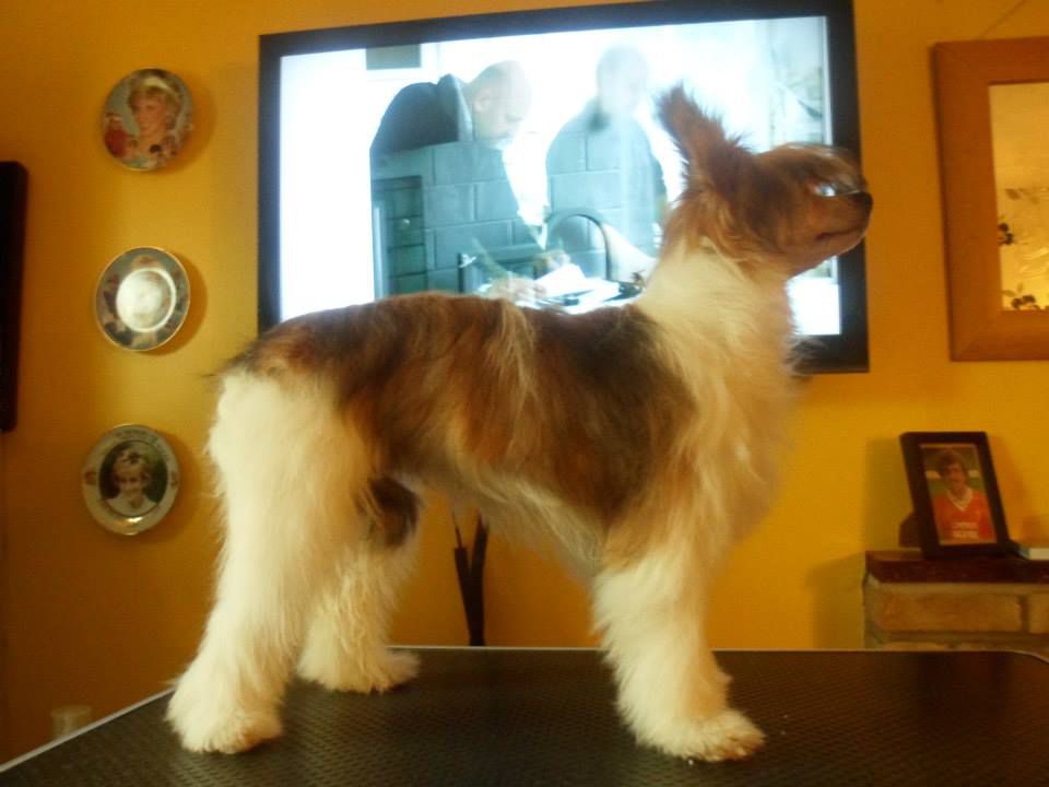 Despinia Picture Puzzle