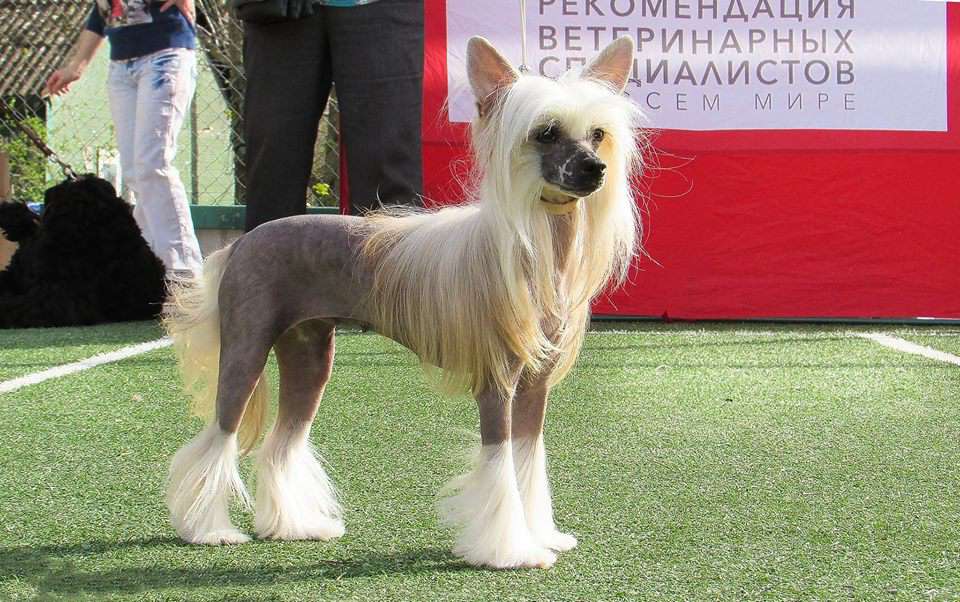 Slavainochka iz Goroda Slavy