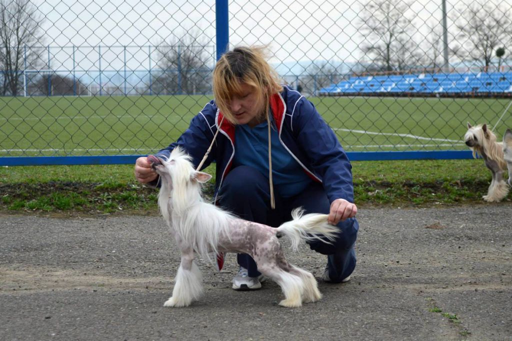 Diamantovaya Rossip'' Iz Goroda Slavy