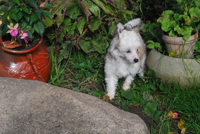 Charlotte Amalie Epocha