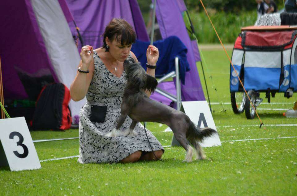 Kulana's Pretty Poison