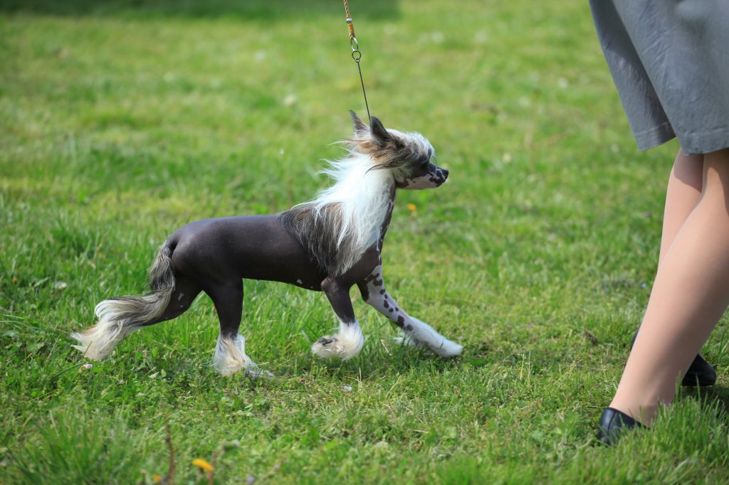 Christy Turlington Atomski Mrav