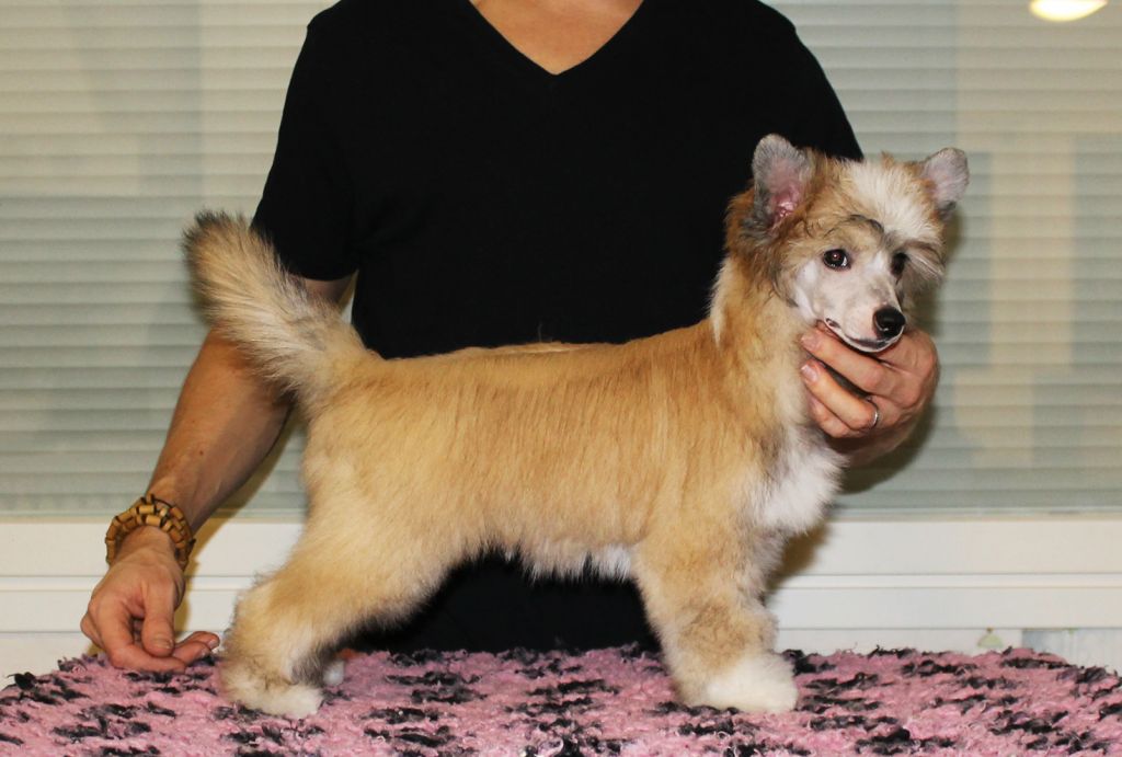 Arte Figure Imagination