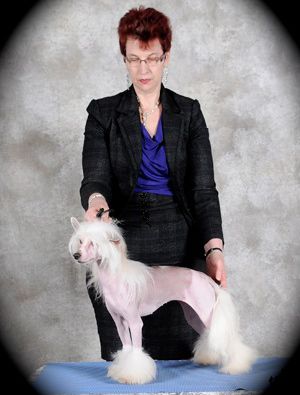 Whispering Lane Halo