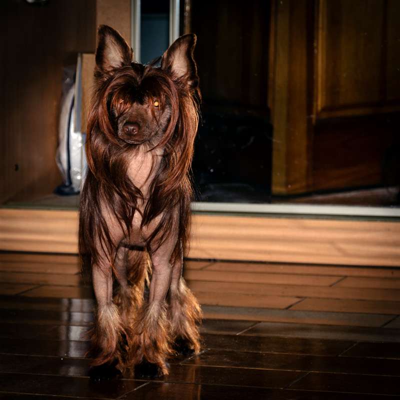 Bestsennoe Nasledie Nice For Mirakolo