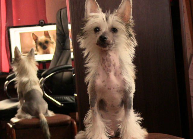 Melanies Rerity Umberto