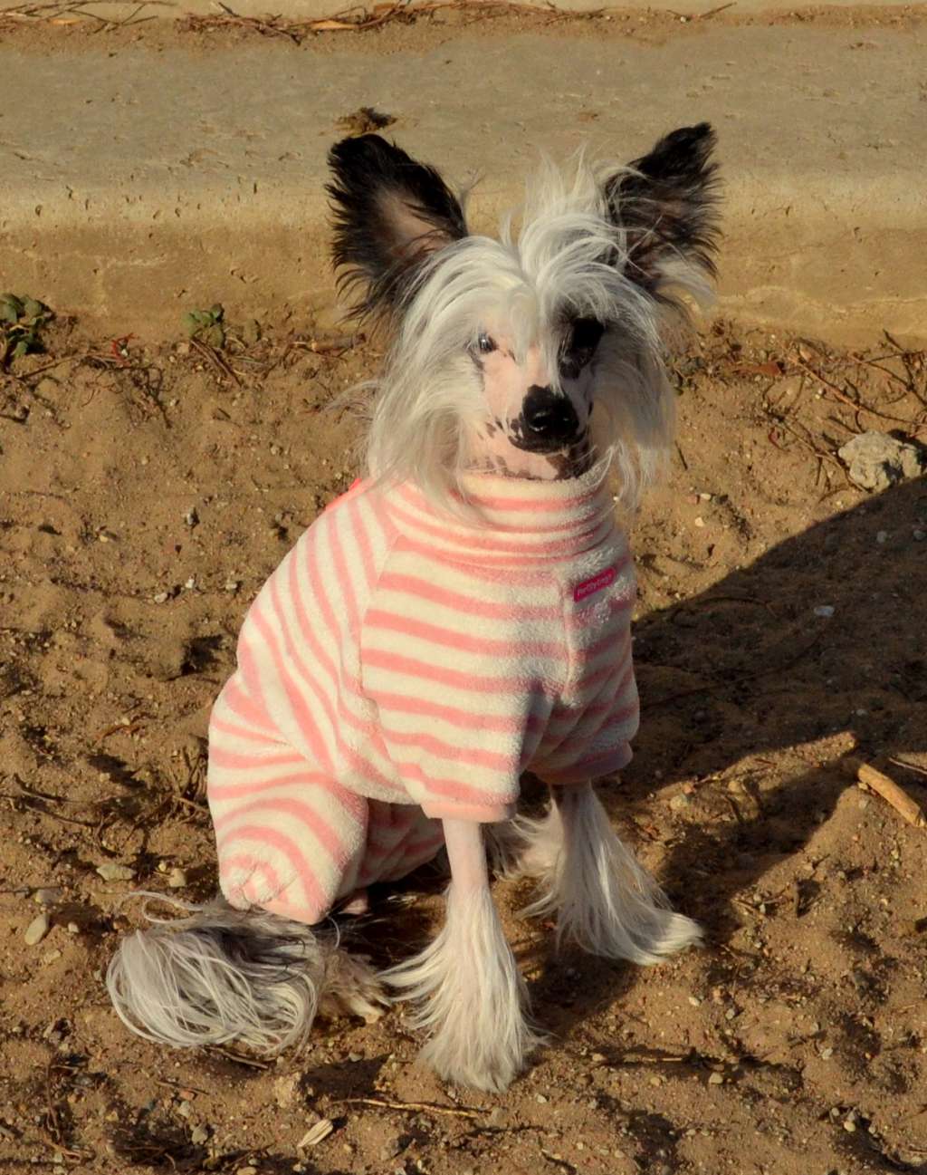 Laisa iz Sozvezdiya Khana