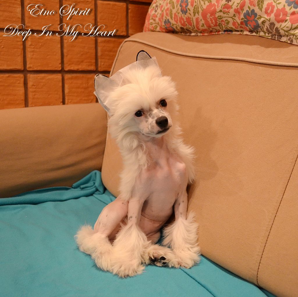 Etno Spirit  Deep In My Heart