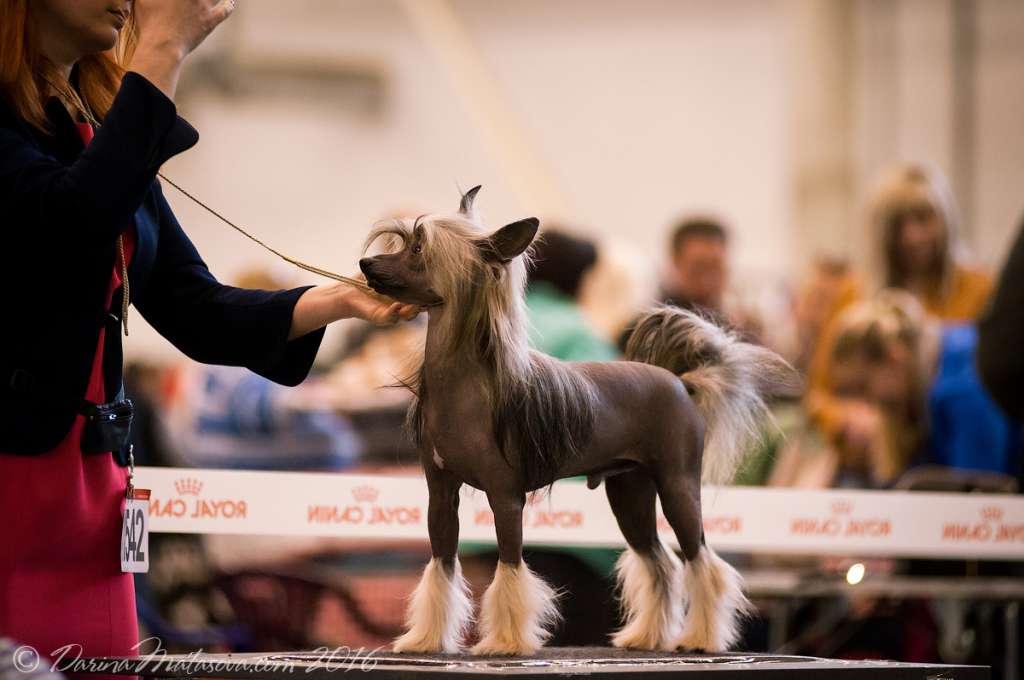 Wind Of Changes De Fageiro