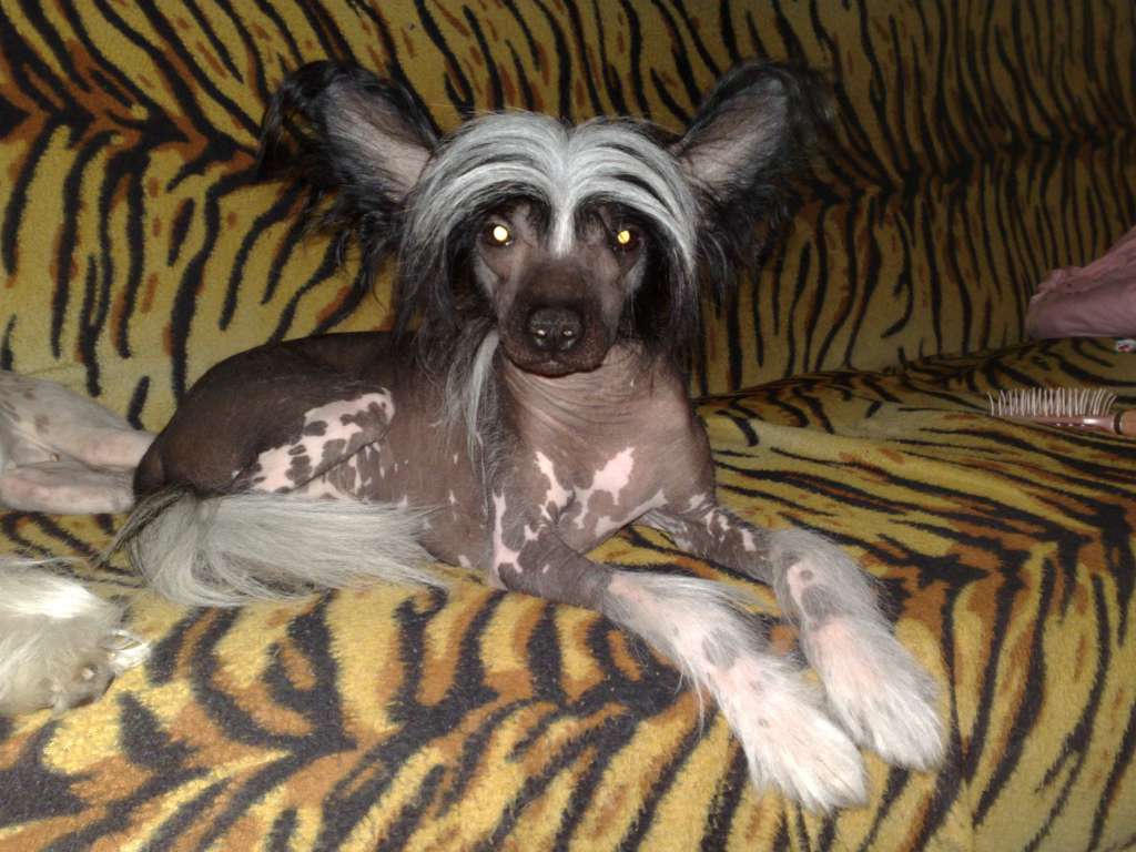 Up-To-Date Alph Centauri