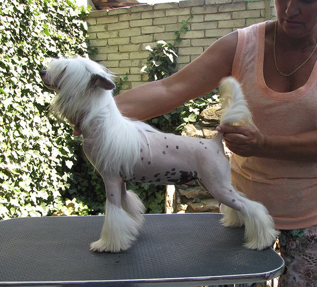 Bi-lav Plus Olivia Snezhnaya