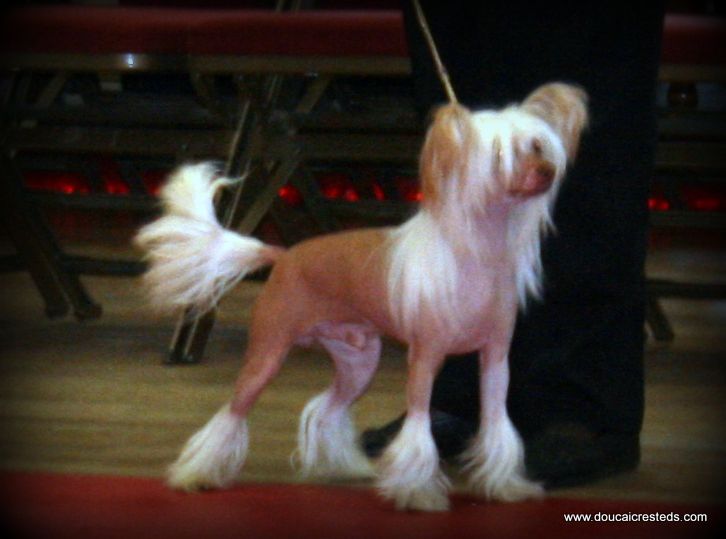 Doucai's Suprise Package For Skybank