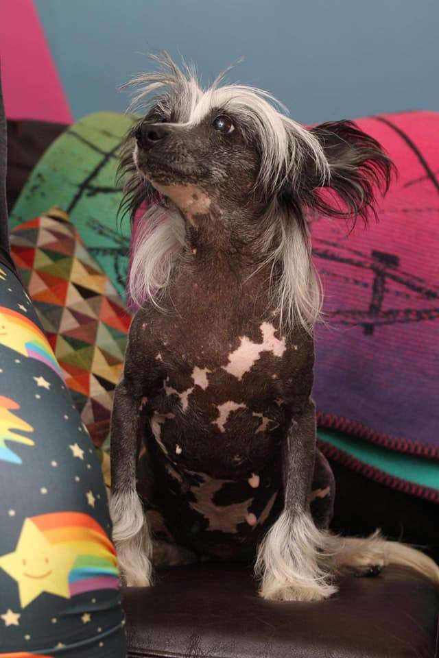 Doucai's Above And Beyond