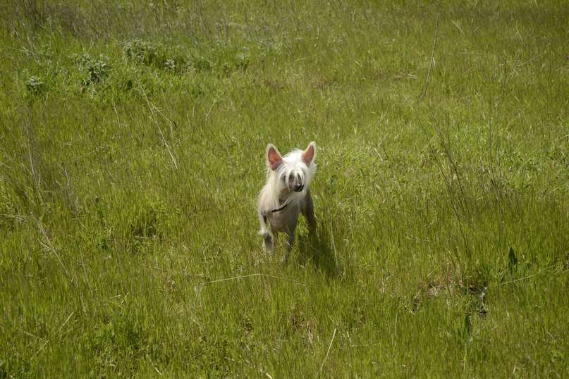 love Story iz Goroda Slavy