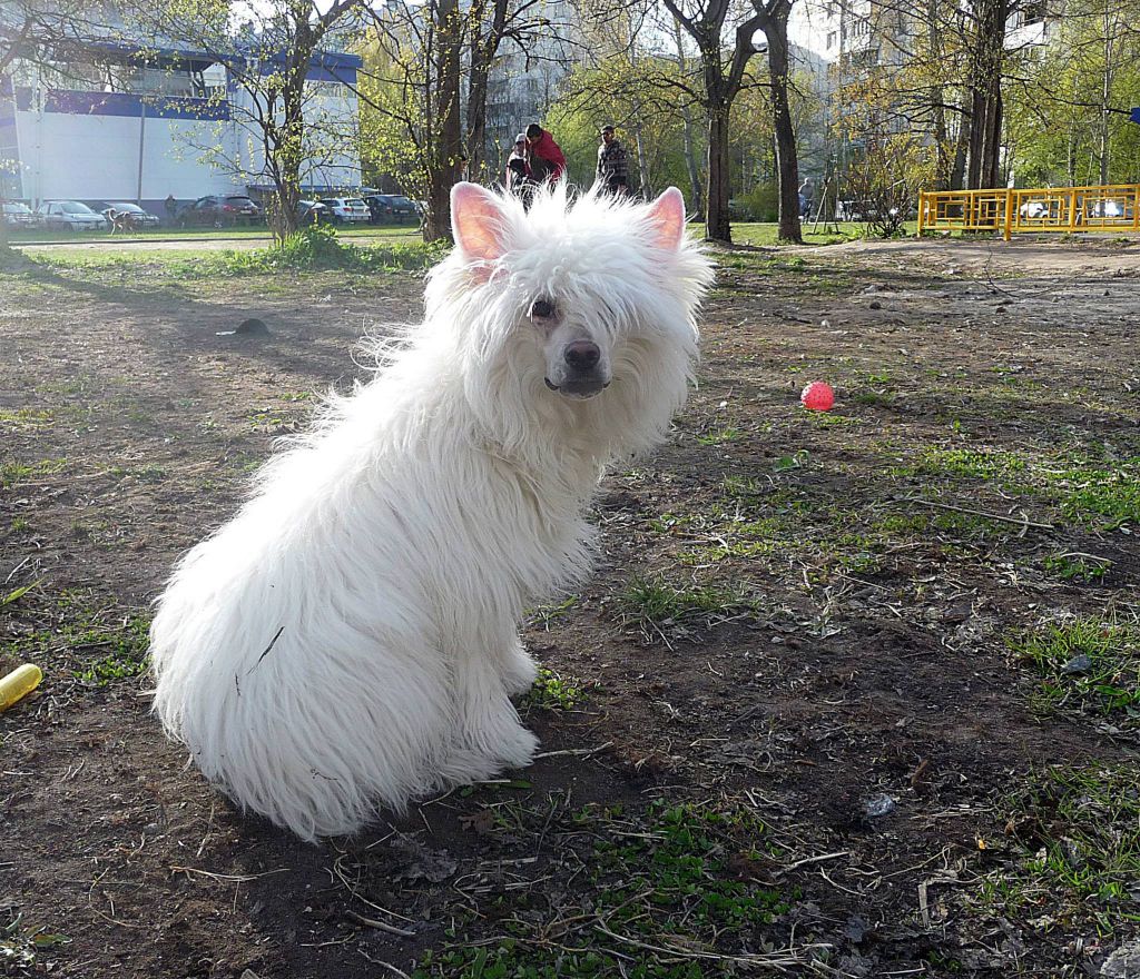 Futureline Felicie LA FLEUR