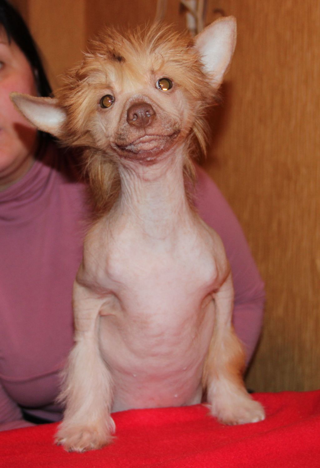 Sspoloch Show Silvia Marilia Francheska