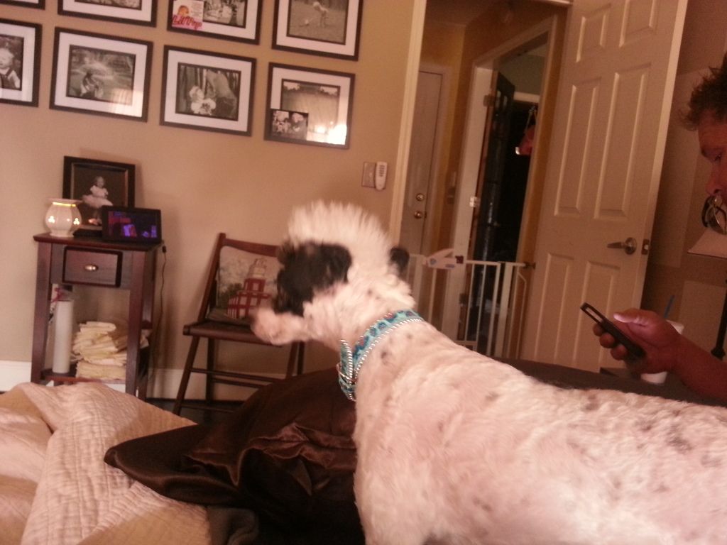 Blades Cruella Monkey Girl