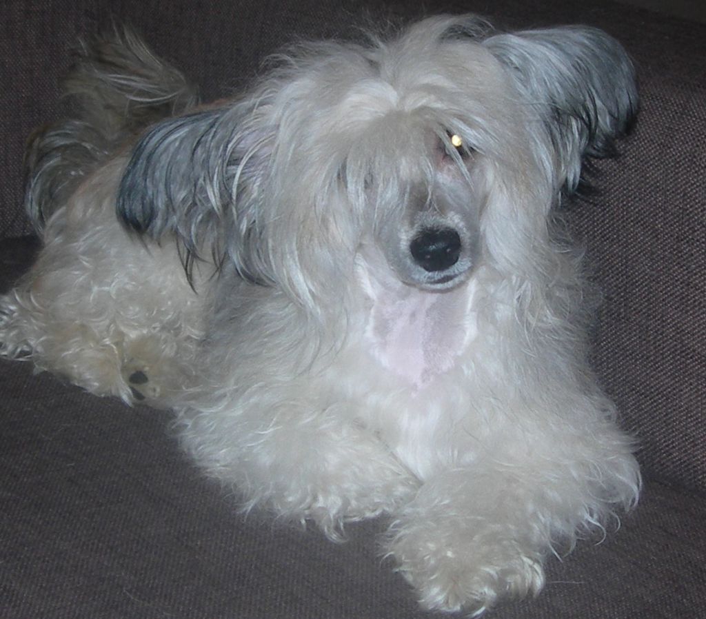 Anastasya Kapelka Solntsa