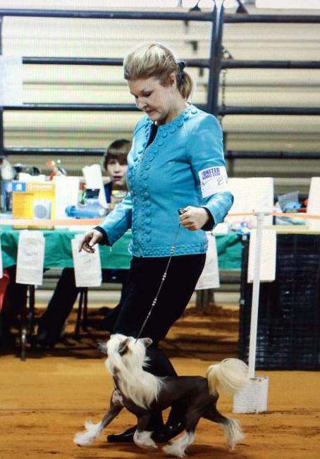 Adorator Kiss Jr Pretensja