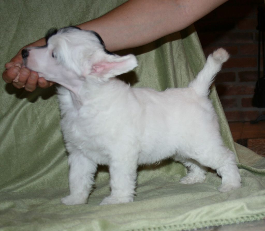 Proud Pony Endurance