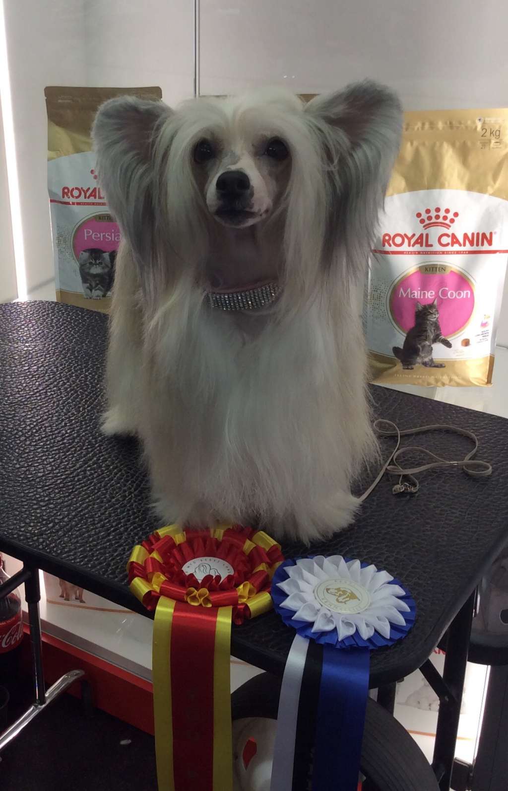 Moelmo's Once Upon A Time