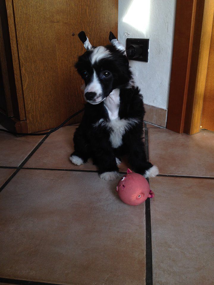 Darkness enemy of the light