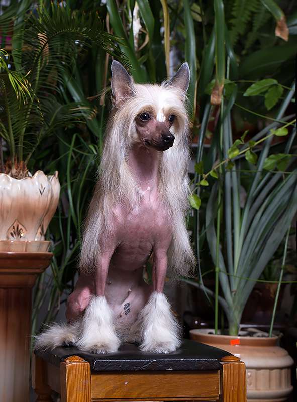 Envy White Key To Your Heart