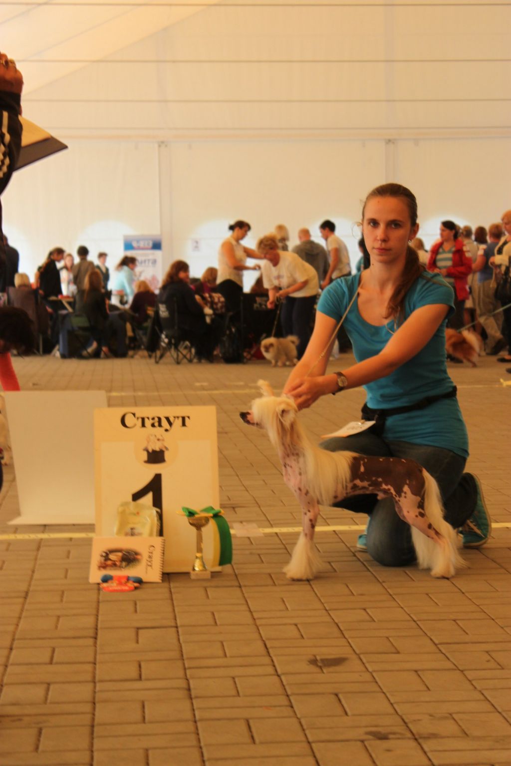 Realiti Shik Golden Boy