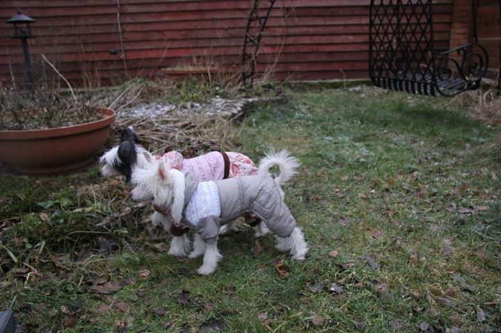 Bella Konstanta Tyris Beauty