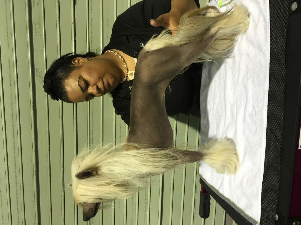 Zhen N' Zen's Boys 'Round Here